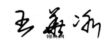 朱錫榮王華冰草書個性簽名怎么寫