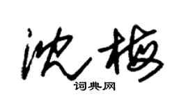 朱錫榮沈梅草書個性簽名怎么寫