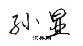 駱恆光孫顯行書個性簽名怎么寫