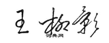 駱恆光王柳影草書個性簽名怎么寫