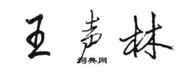駱恆光王聲林行書個性簽名怎么寫