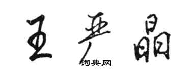 駱恆光王嚴晶行書個性簽名怎么寫