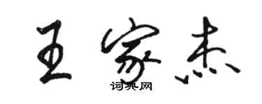 駱恆光王家傑行書個性簽名怎么寫