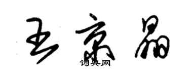 朱錫榮王京晶草書個性簽名怎么寫