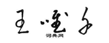 駱恆光王唯千草書個性簽名怎么寫