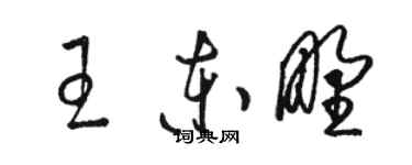 駱恆光王東野草書個性簽名怎么寫