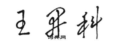 駱恆光王開科草書個性簽名怎么寫