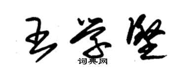 朱錫榮王學堅草書個性簽名怎么寫