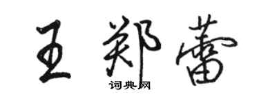 駱恆光王鄭蕾行書個性簽名怎么寫