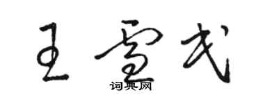 駱恆光王雪民草書個性簽名怎么寫