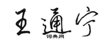 駱恆光王通寧行書個性簽名怎么寫