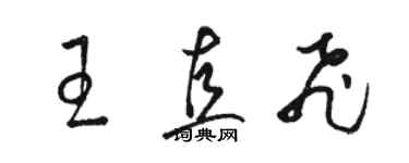 駱恆光王直飛草書個性簽名怎么寫