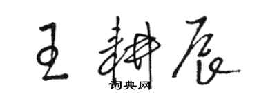 駱恆光王耕辰草書個性簽名怎么寫