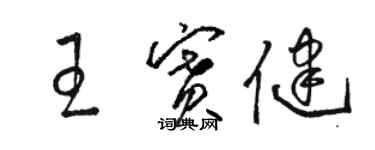 駱恆光王賽健草書個性簽名怎么寫