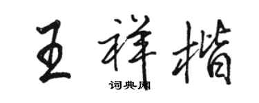 駱恆光王祥楷行書個性簽名怎么寫