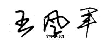 朱錫榮王風軍草書個性簽名怎么寫