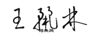 駱恆光王麗林草書個性簽名怎么寫