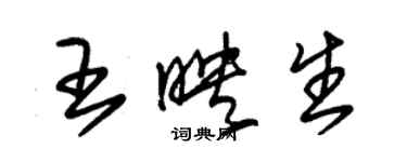 朱錫榮王映生草書個性簽名怎么寫