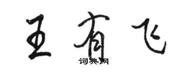 駱恆光王有飛行書個性簽名怎么寫