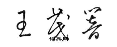 駱恆光王茂響草書個性簽名怎么寫