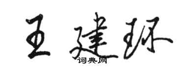 駱恆光王建環行書個性簽名怎么寫