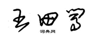 朱錫榮王田闖草書個性簽名怎么寫