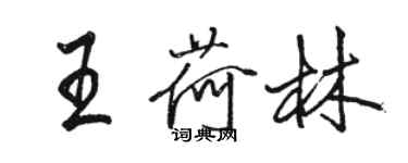 駱恆光王荷林行書個性簽名怎么寫