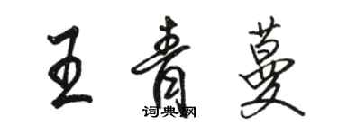 駱恆光王青蔓行書個性簽名怎么寫