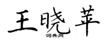 丁謙王曉苹楷書個性簽名怎么寫