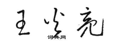 駱恆光王火亮草書個性簽名怎么寫