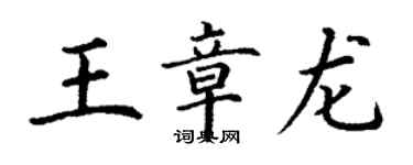 丁謙王章龍楷書個性簽名怎么寫