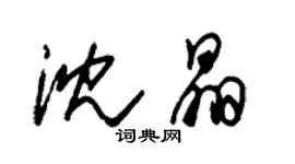 朱錫榮沈晶草書個性簽名怎么寫