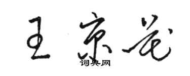 駱恆光王京花草書個性簽名怎么寫