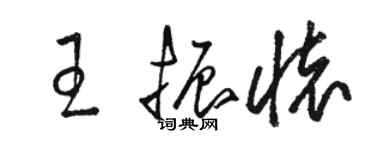 駱恆光王振懷草書個性簽名怎么寫