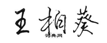 駱恆光王柏葵行書個性簽名怎么寫