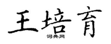 丁謙王培育楷書個性簽名怎么寫