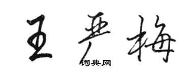 駱恆光王嚴梅行書個性簽名怎么寫