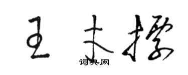 駱恆光王才標草書個性簽名怎么寫
