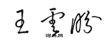 駱恆光王雲盼草書個性簽名怎么寫