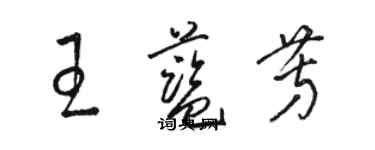 駱恆光王藍芳草書個性簽名怎么寫