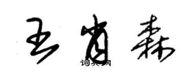 朱錫榮王肖森草書個性簽名怎么寫