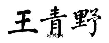 翁闓運王青野楷書個性簽名怎么寫