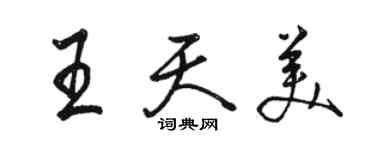 駱恆光王天美行書個性簽名怎么寫