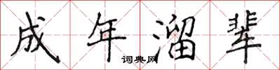 侯登峰成年溜輩楷書怎么寫