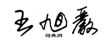 朱錫榮王旭嚴草書個性簽名怎么寫