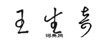 駱恆光王生奇草書個性簽名怎么寫