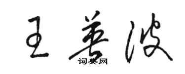 駱恆光王英波草書個性簽名怎么寫