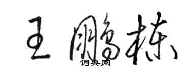 駱恆光王鵬棟草書個性簽名怎么寫