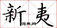 丁謙新夷楷書怎么寫