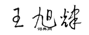 駱恆光王旭輝草書個性簽名怎么寫